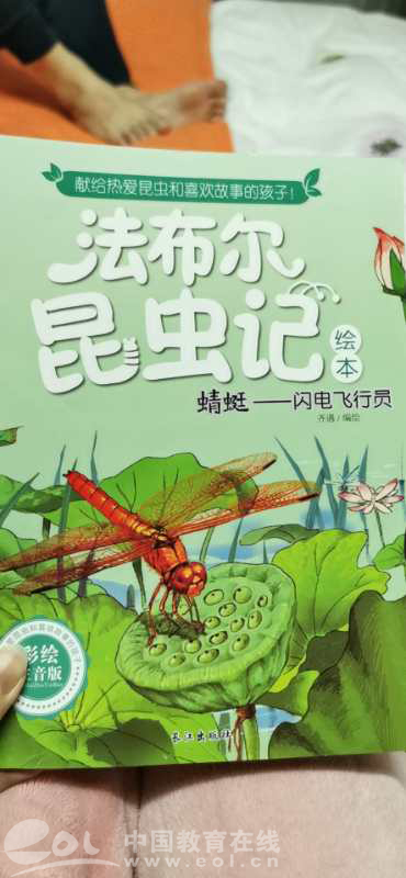 澳门六合彩预测