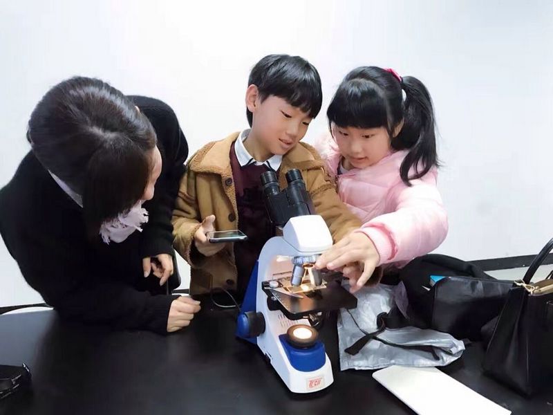 澳门六合彩预测