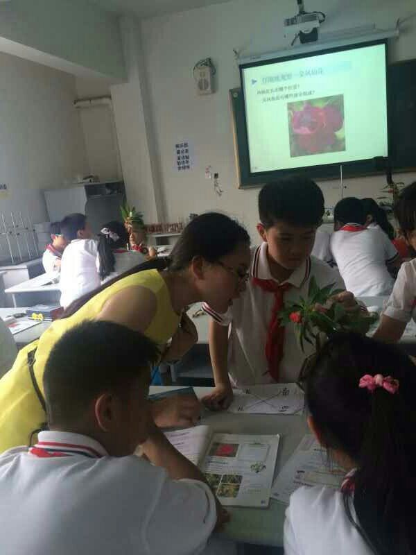 澳门六合彩预测