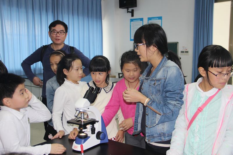 澳门六合彩预测