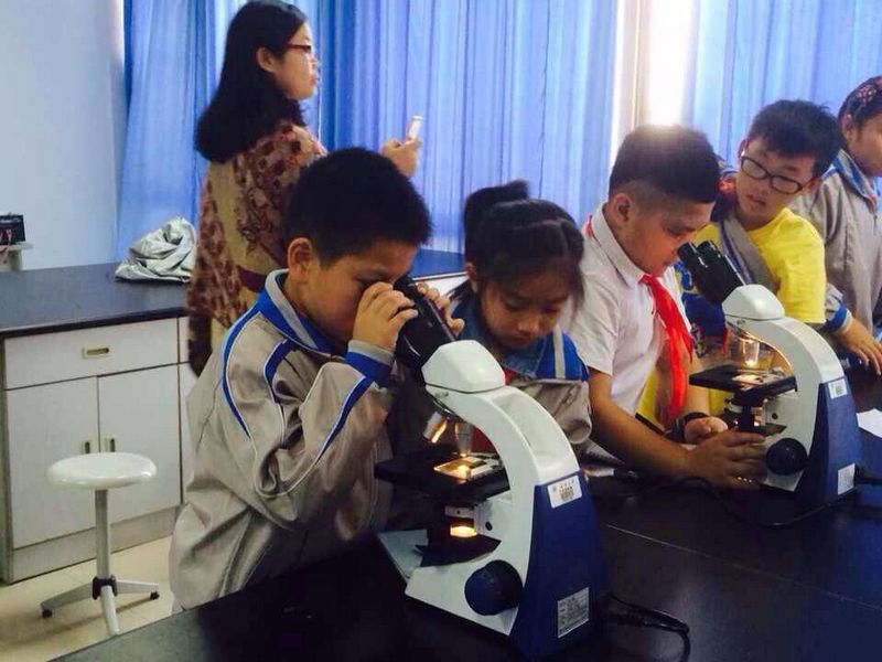 澳门六合彩预测