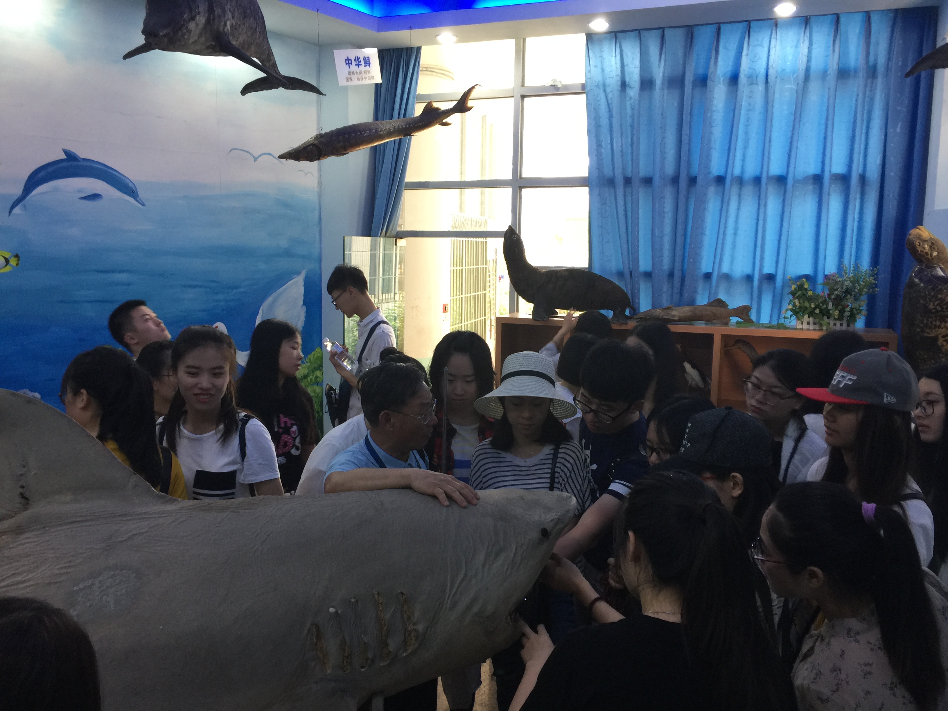 澳门六合彩预测