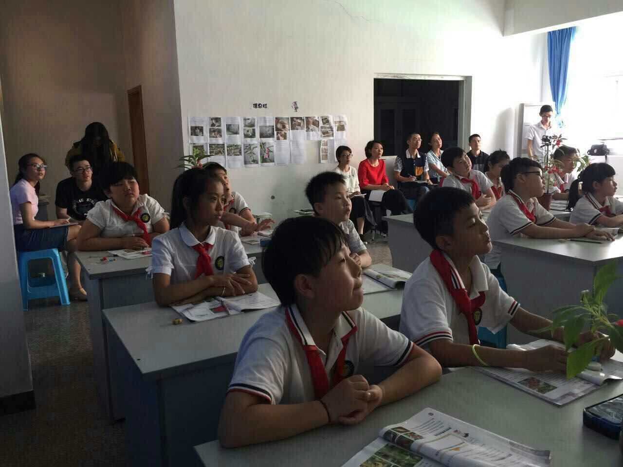 澳门六合彩预测