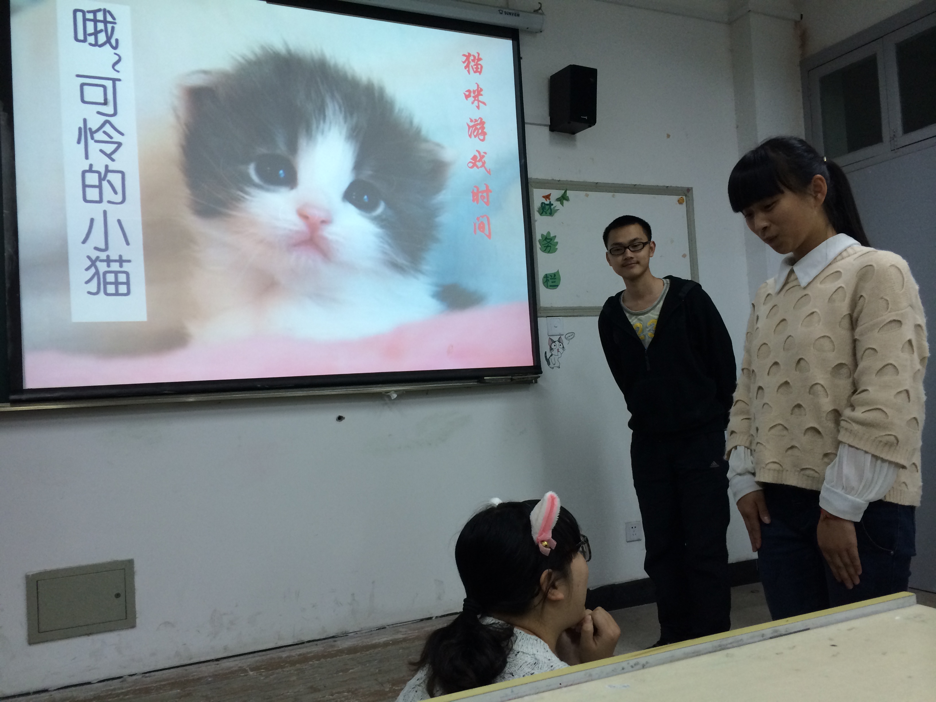 澳门六合彩预测