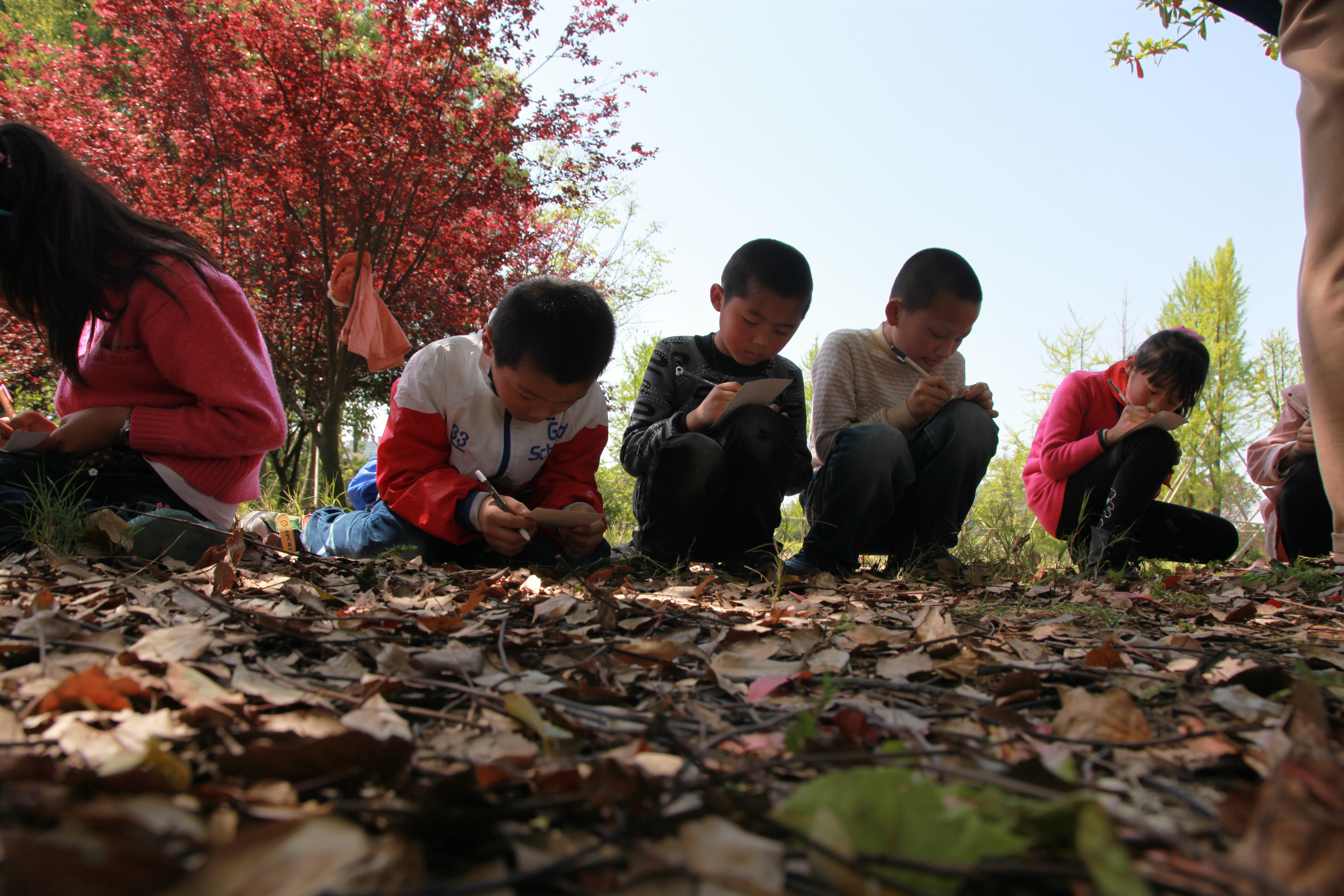 澳门六合彩预测