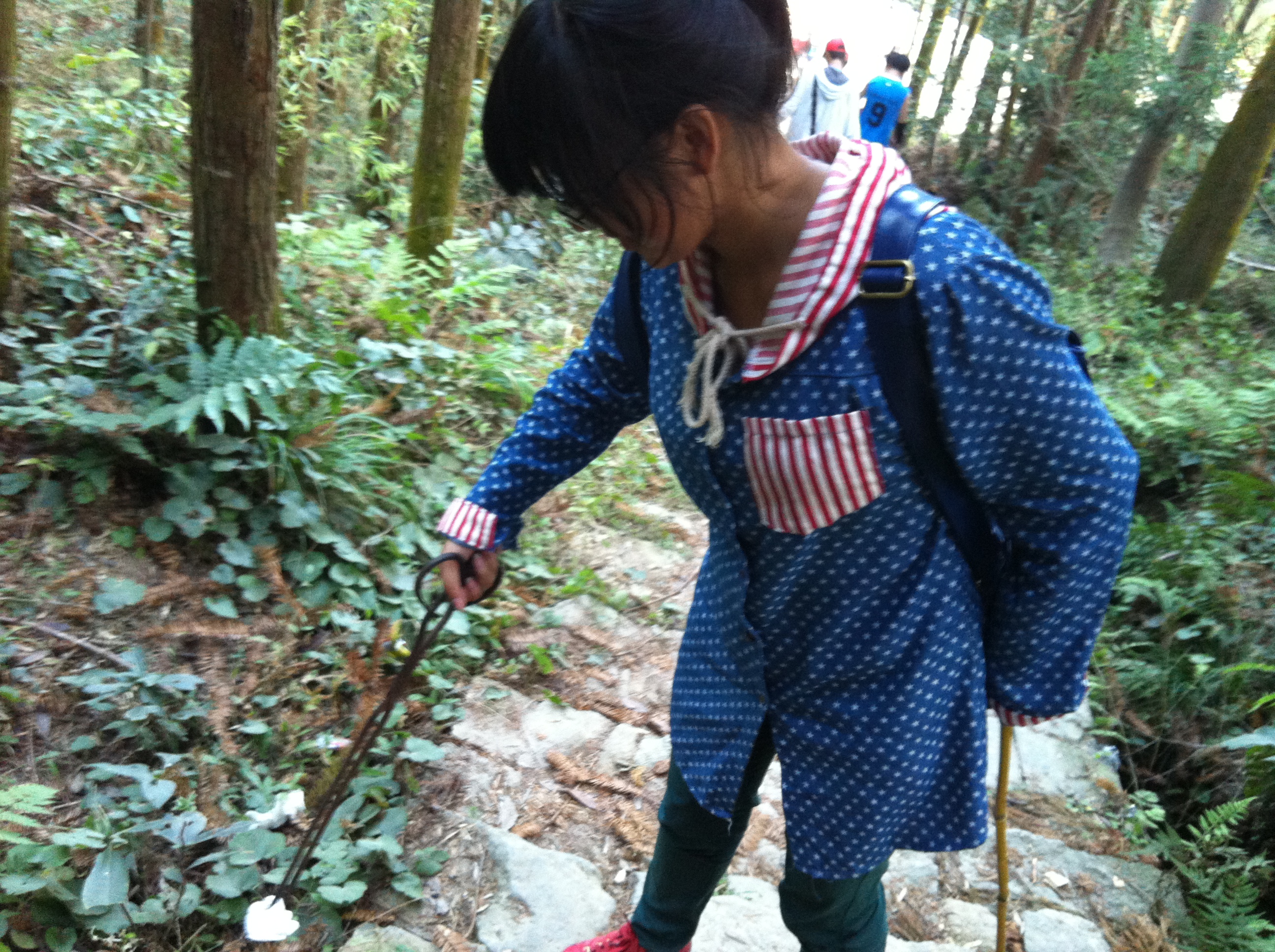 澳门六合彩预测