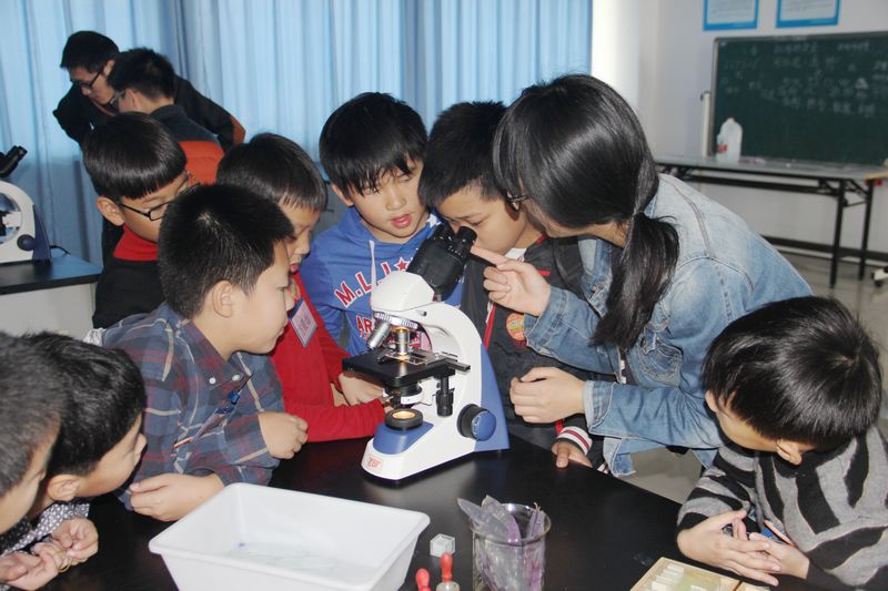 澳门六合彩预测