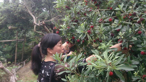 澳门六合彩预测