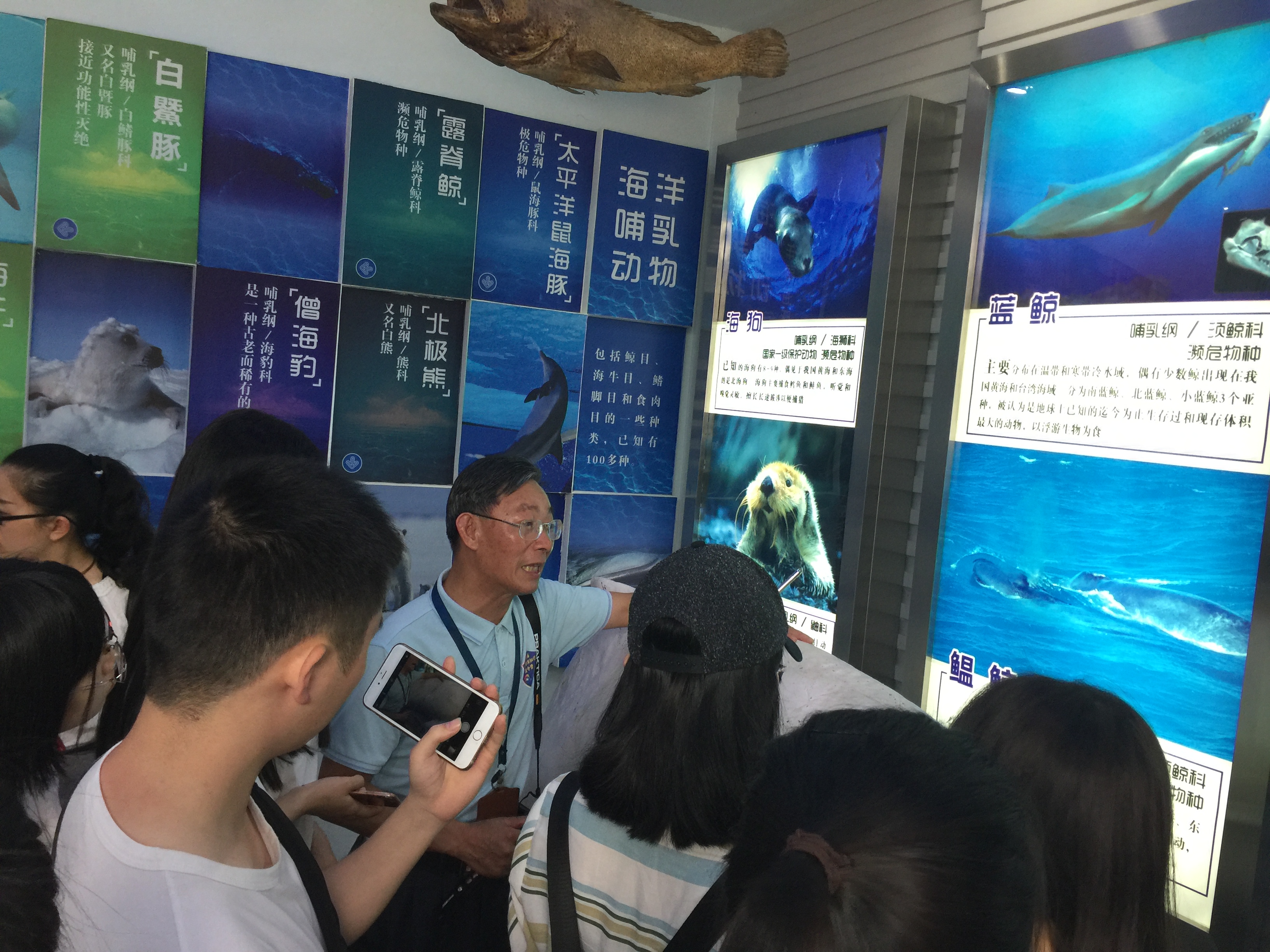 澳门六合彩预测
