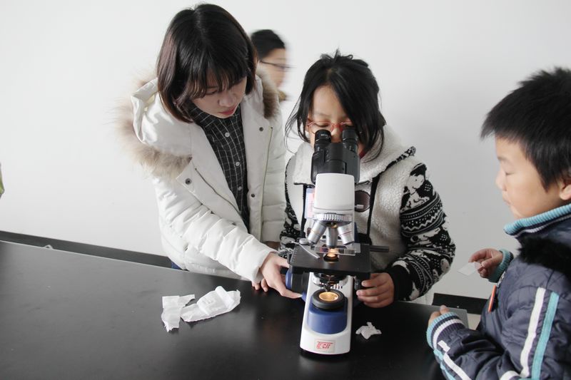 澳门六合彩预测
