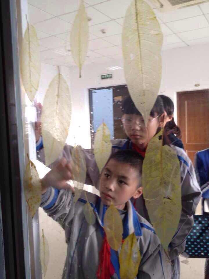 澳门六合彩预测